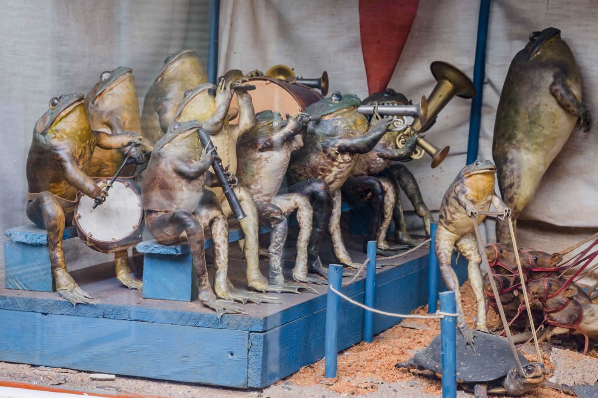 Holyoke's Frog Circus
