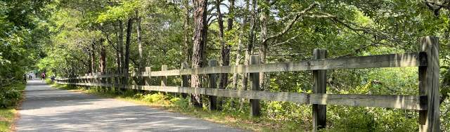 Cape Cod Rail Trail