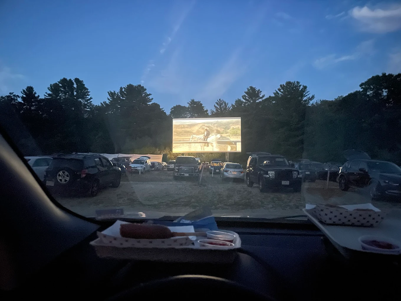 Mendon Twin Drive-In