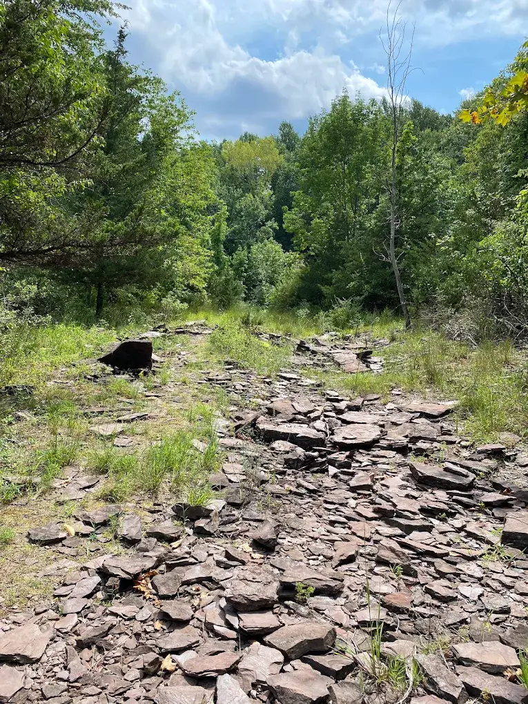 Riker Hill Fossil Site