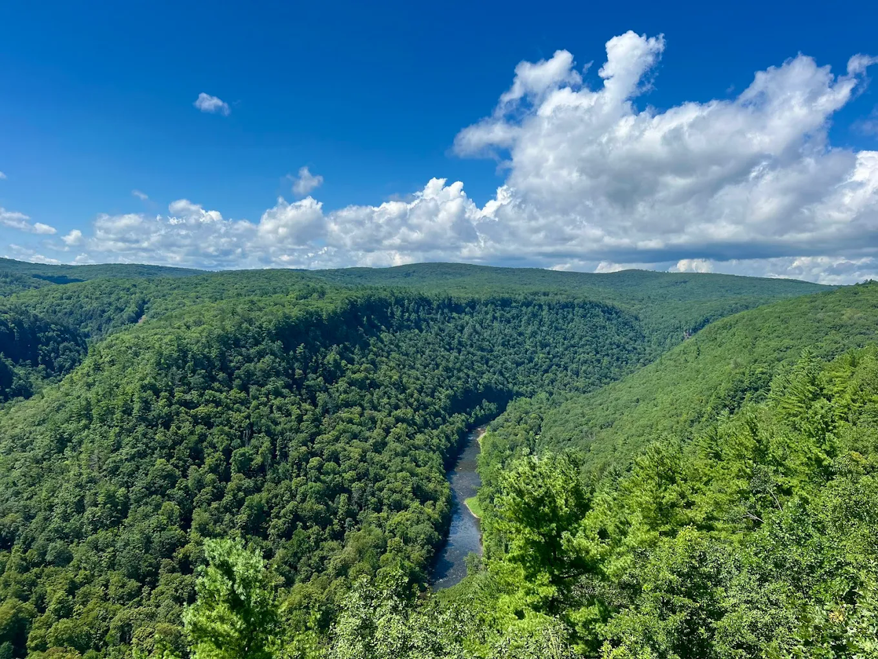 PA Grand Canyon at Leonard Harrison State Park