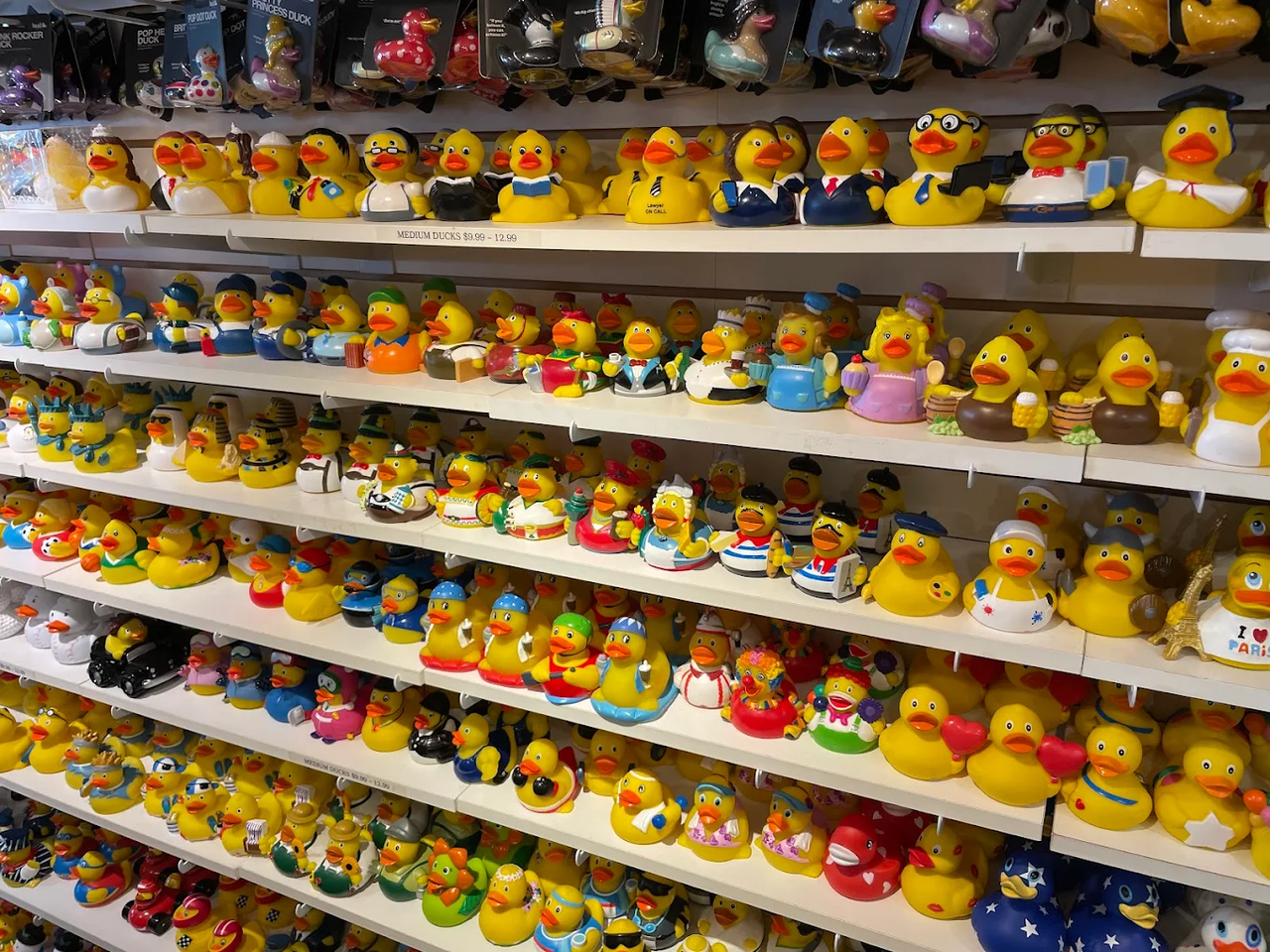 World's Largest Rubber Duck Store
