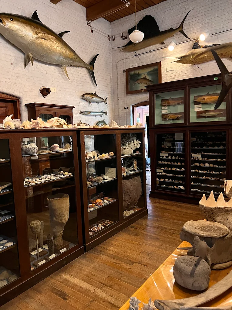 L.C. Bates Museum of Natural History and Culture