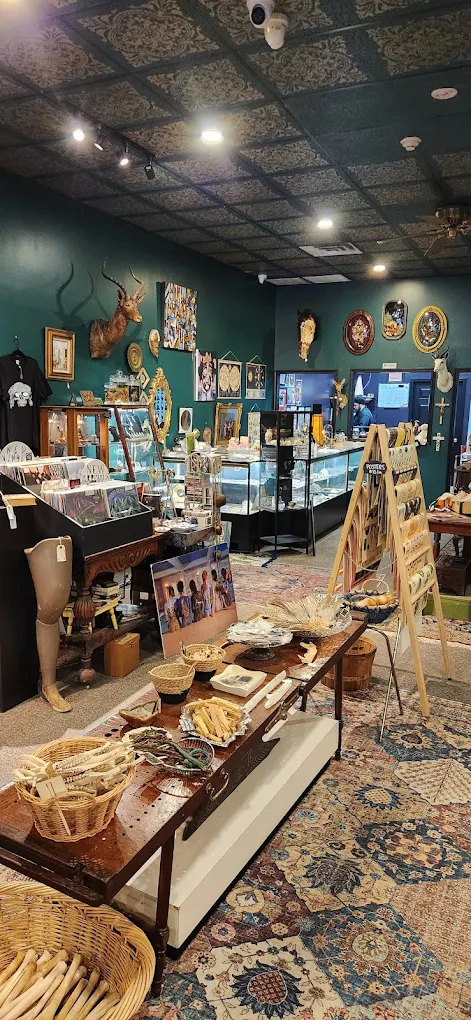 Curio Cabinet of the Hudson Valley