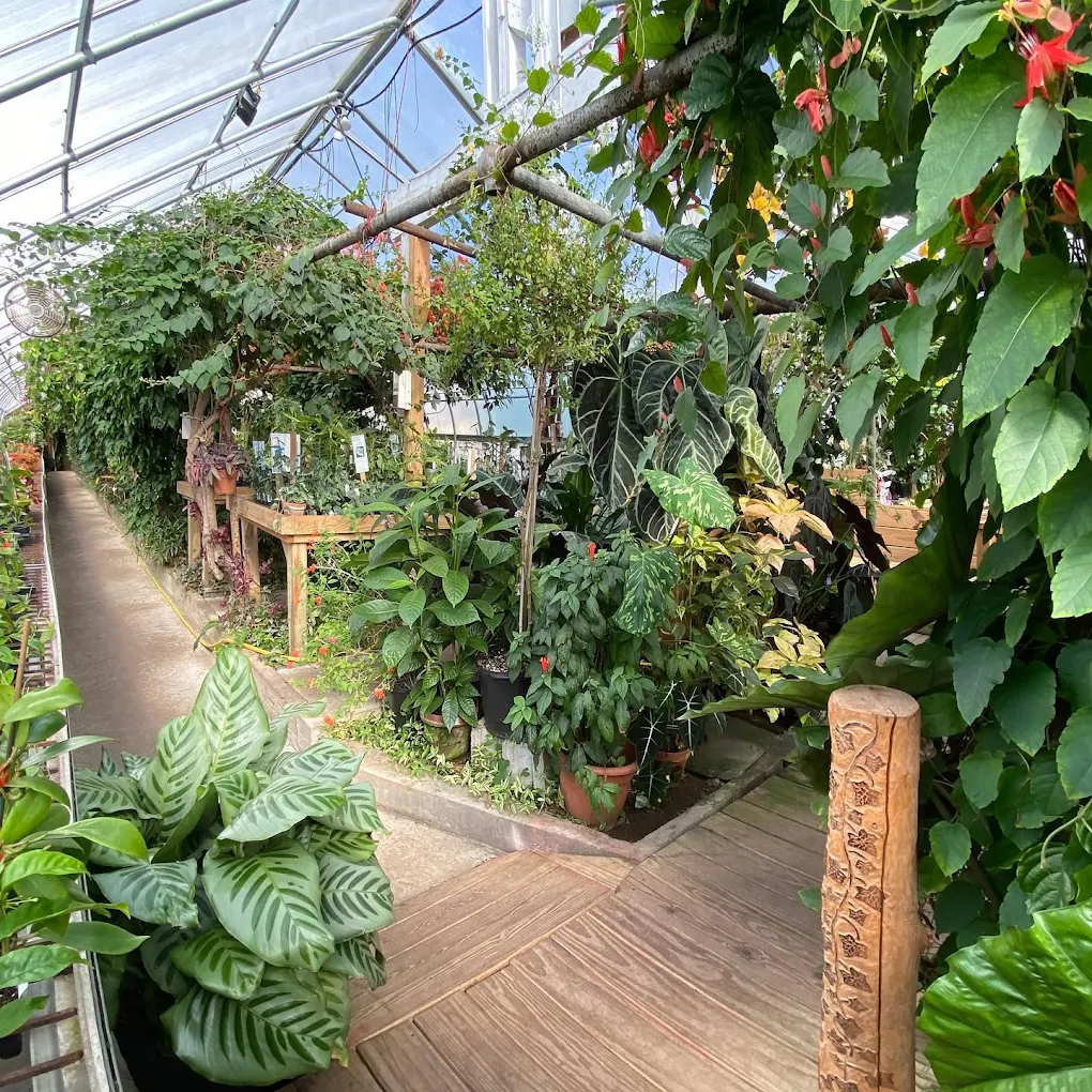 Logee's Plants for Home & Garden